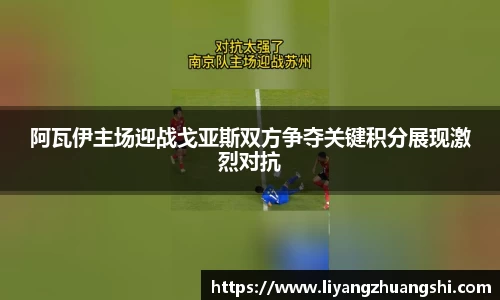 币游国际