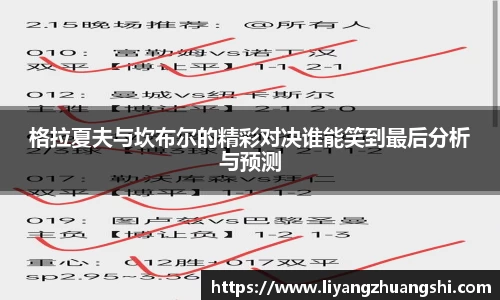 格拉夏夫与坎布尔的精彩对决谁能笑到最后分析与预测